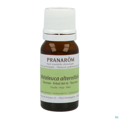 Olio essenziale di melaleuca 10 ml