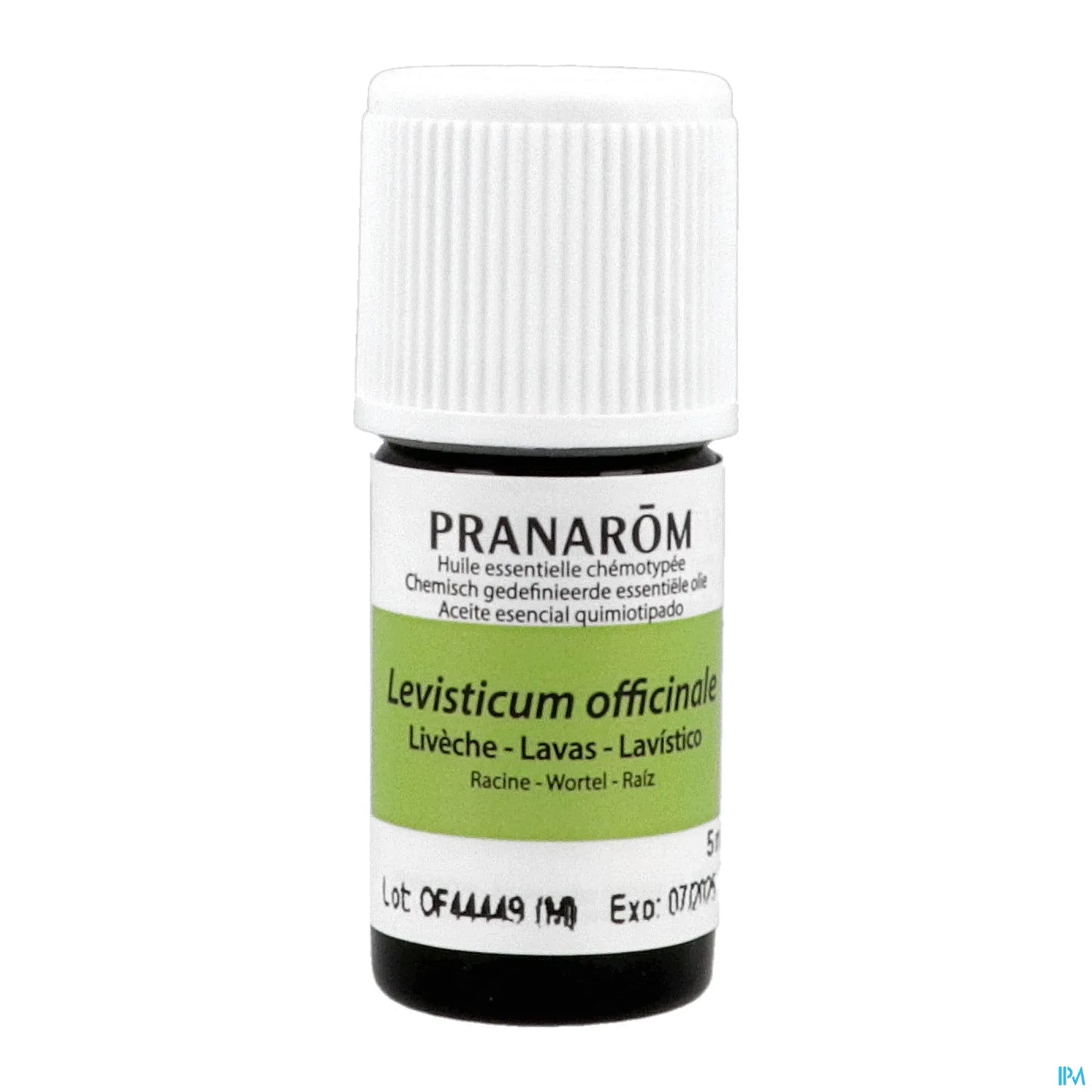 Lovage Essential Oil 5 mL