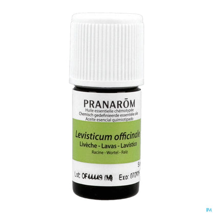 Lovage Essential Oil 5 mL