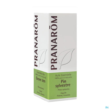 Olio essenziale di pino silvestre 10 ml
