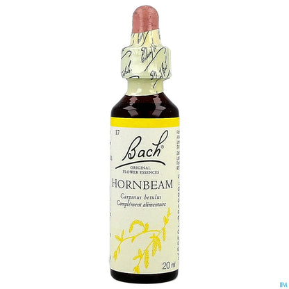 Hornbeam 20ml