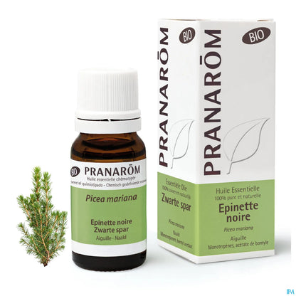 Olio essenziale di abete nero biologico 10 ml