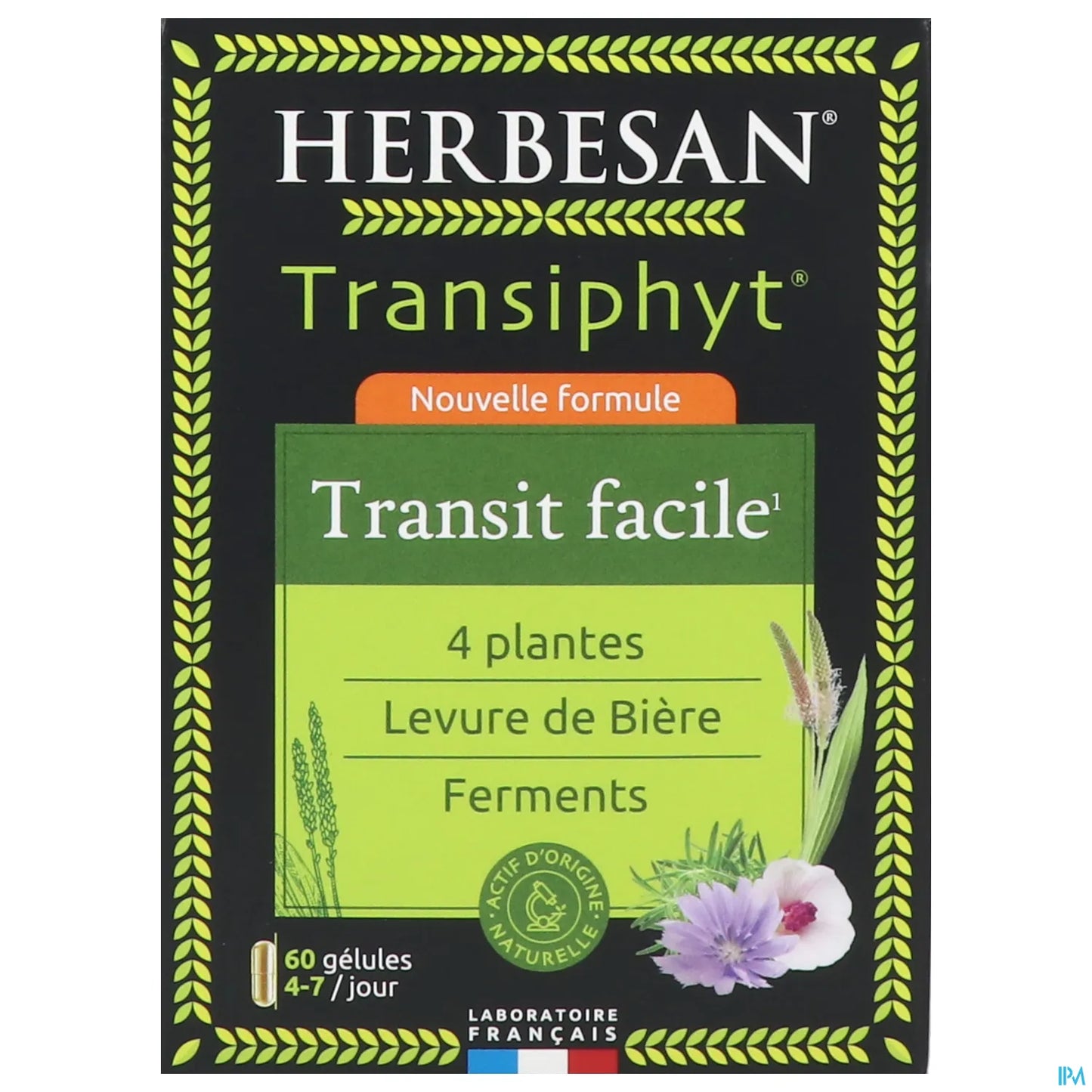 Transiphyt 60 Gélules Transit Intestinal