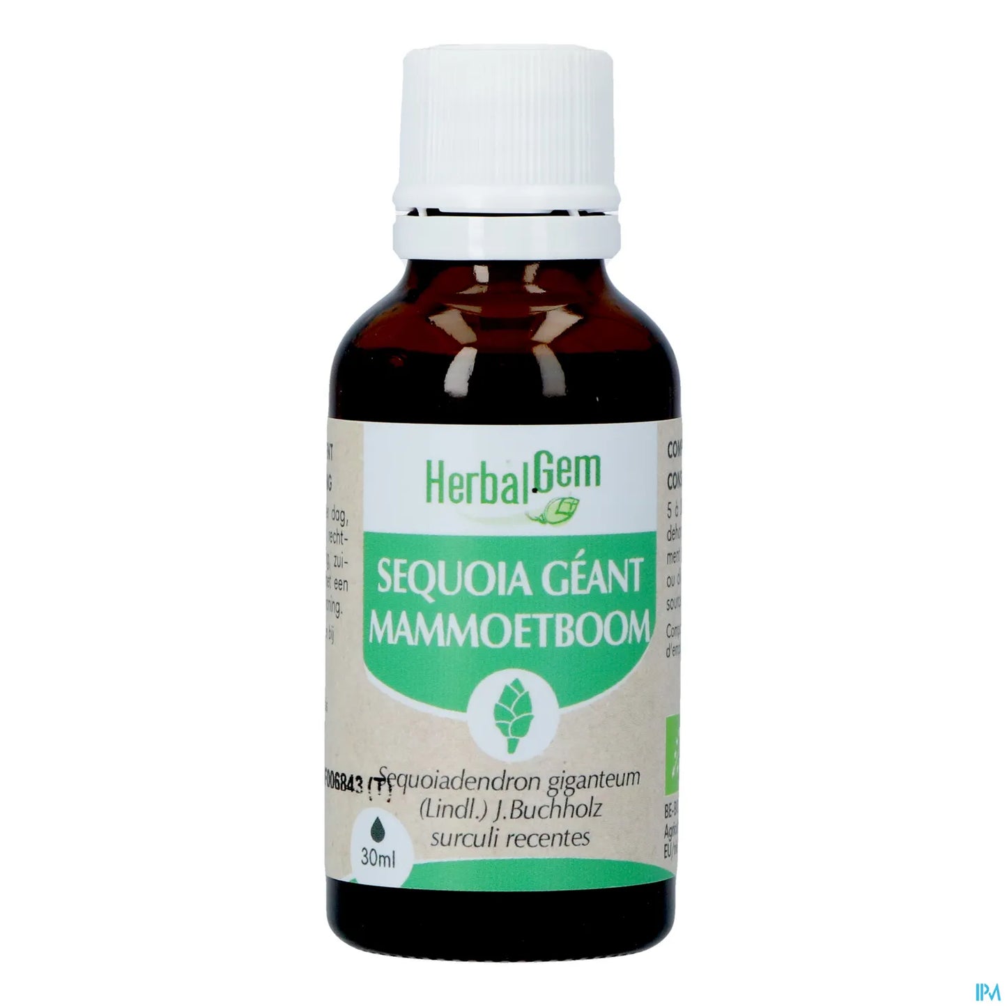 Organic Sequoia Mother Macerate 30 mL