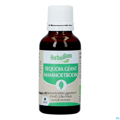 Organic Sequoia Mother Macerate 30 mL