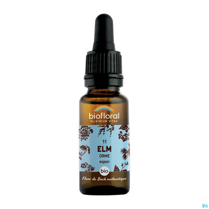 Elisir floreale di olmo 20 ml