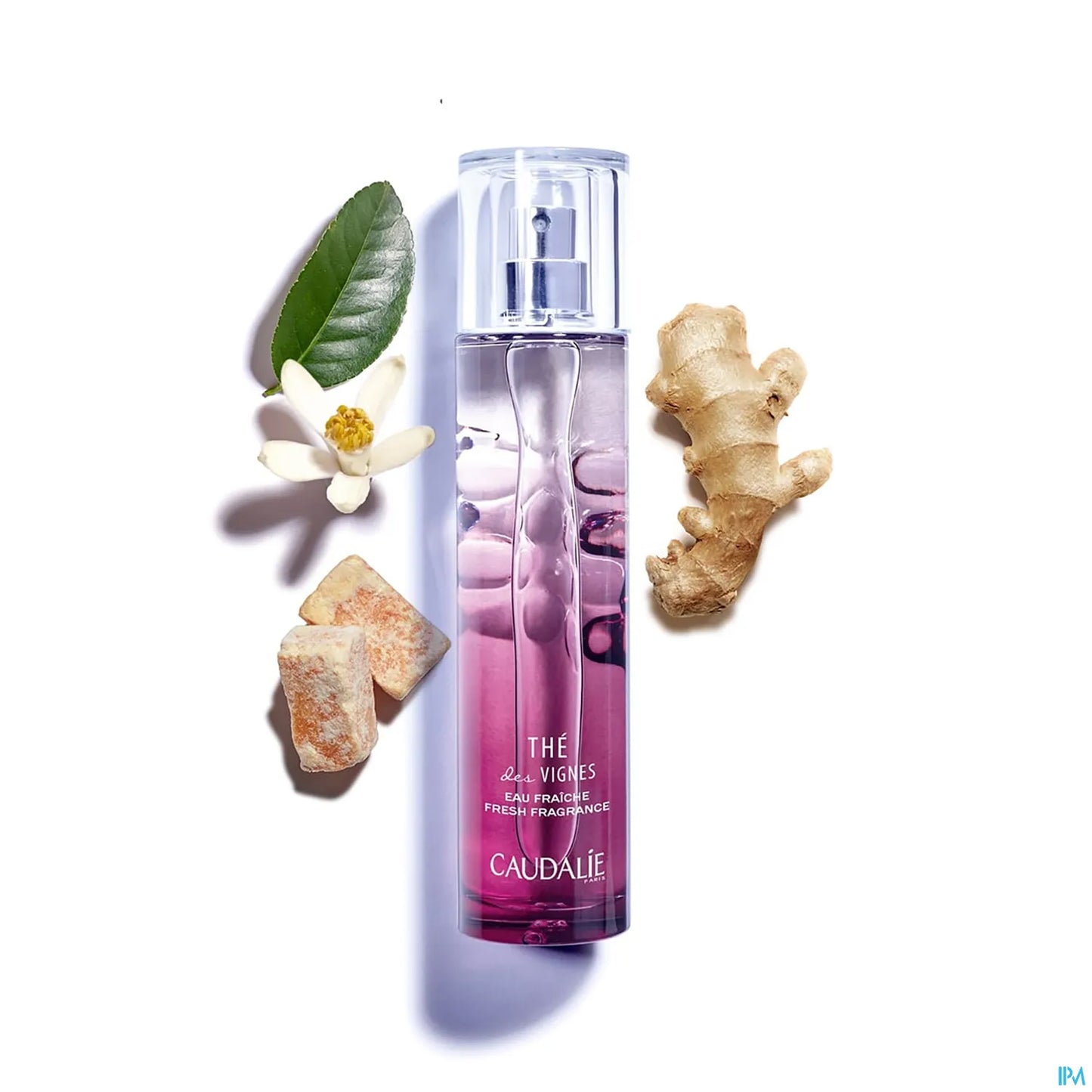 Eau Fraîche Thé Des Vignes 50 ml