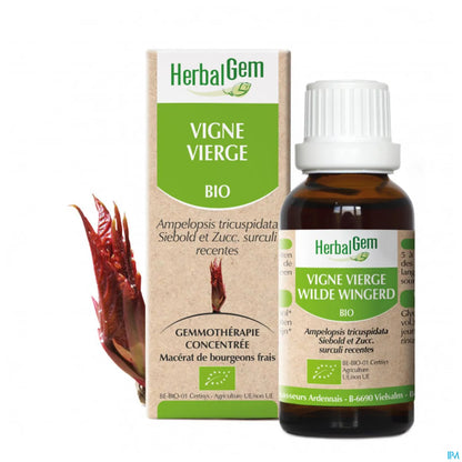 Virginia Creeper Bud Macerate Organic 30 mL