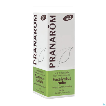 Olio essenziale di foglie di eucalipto radiata 10 ml