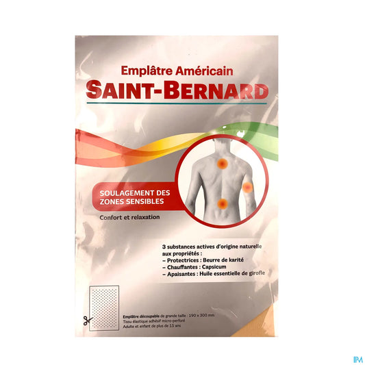 San Bernardo in gesso americano, modello grande 190x300mm