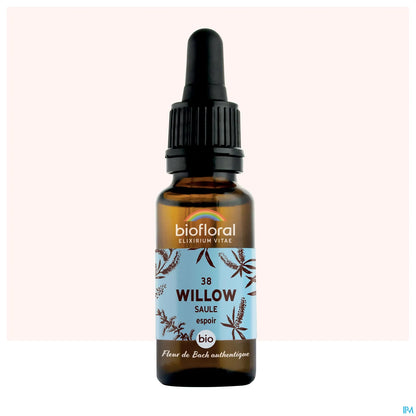 Salice Saule 20 ml