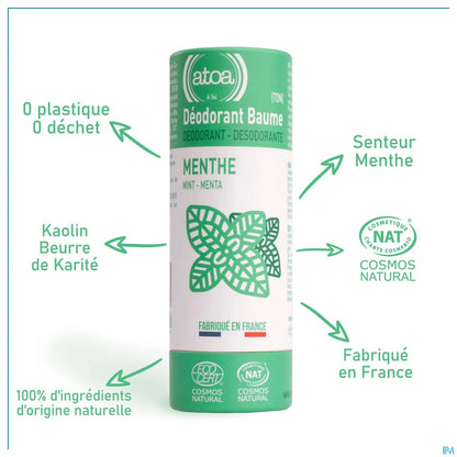 Mint Balm Deodorant 100g