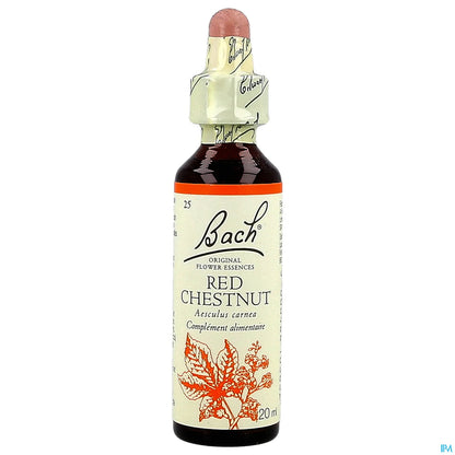 Castagna rossa 20 ml
