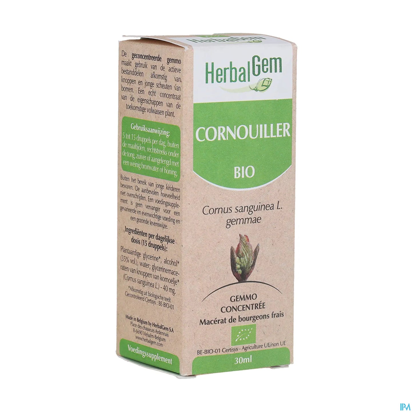 Germogli di corniolo biologico 30 ml