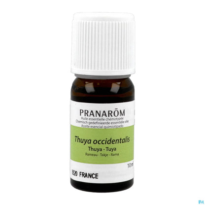 Olio essenziale di Thuya 10 ml