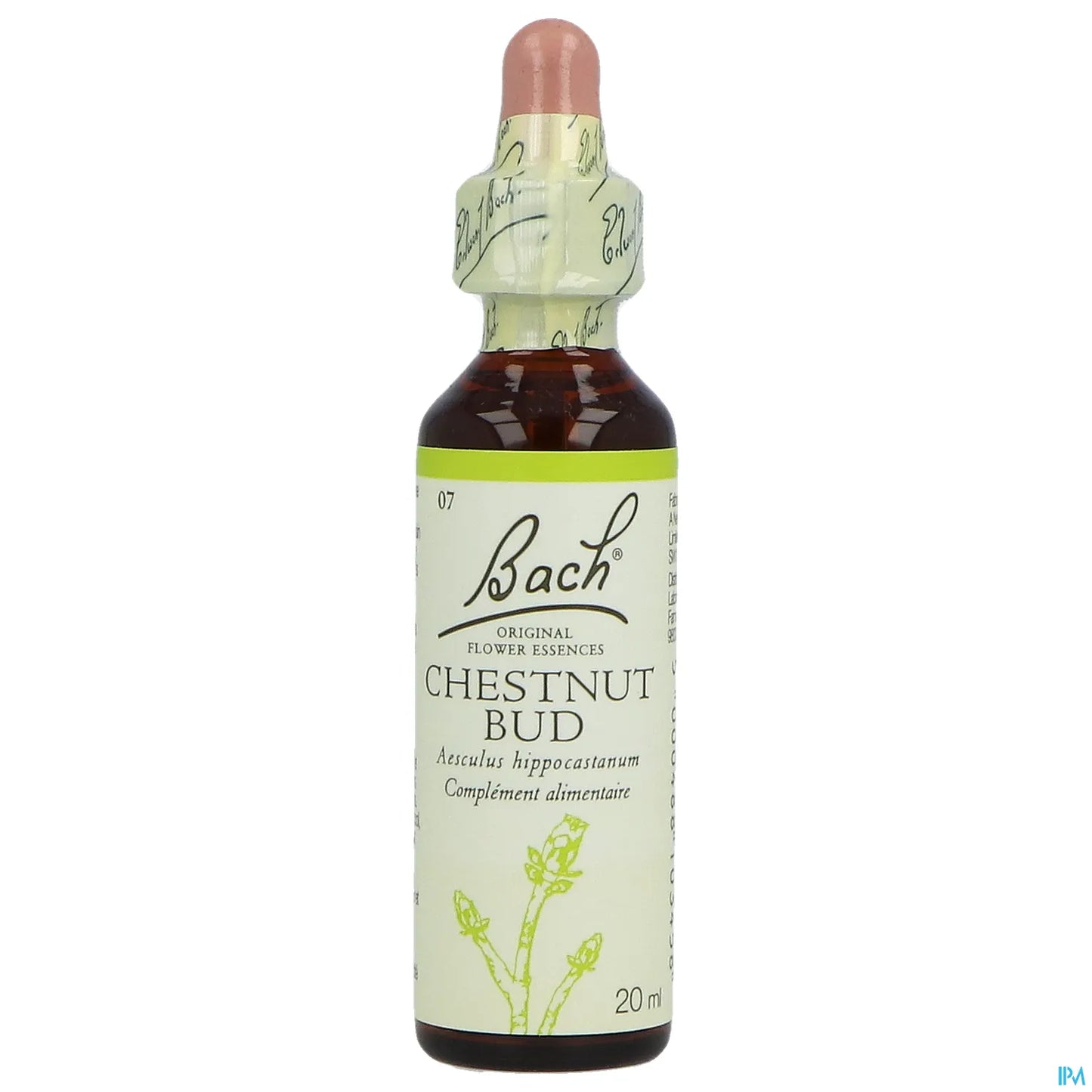 Chestnut Bud No. 07 Bach Flowers 20ml