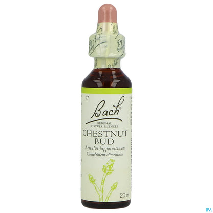 Chestnut Bud No. 07 Bach Flowers 20ml