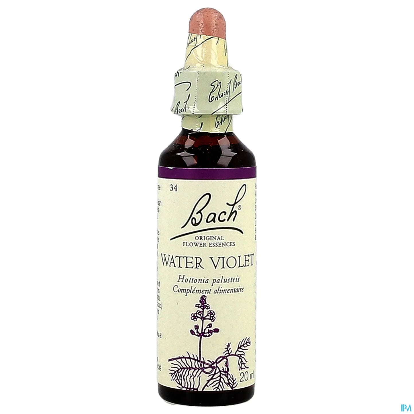 N. 34 Viola Acqua 20ml