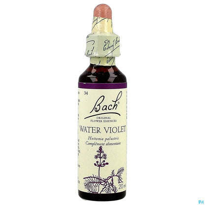 N. 34 Viola Acqua 20ml