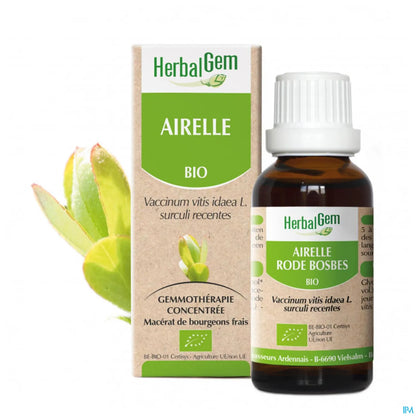 Airelle Bio 30 ML Macérat Mère