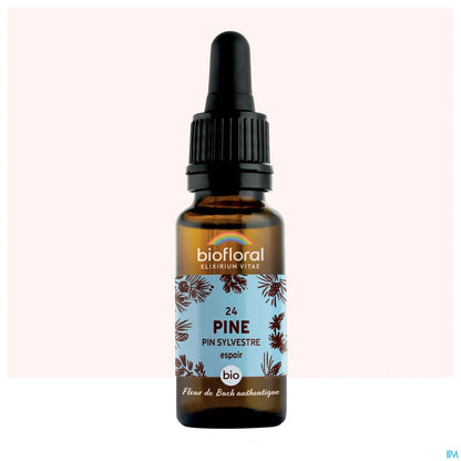 Bach Flower Scots Pine 20 mL