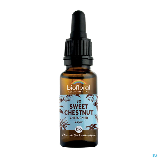 Châtaignier Fleur de Bach 20 mL