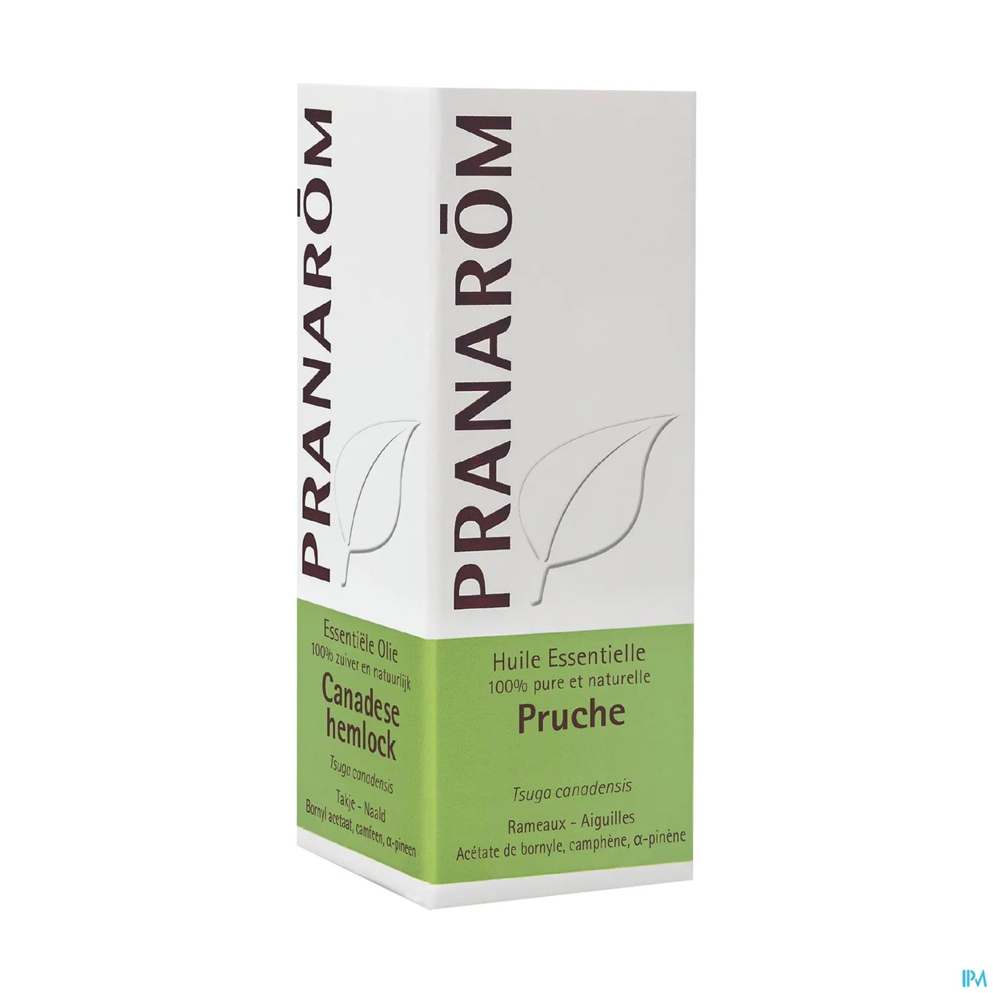 Hemlock Essential Oil 5ml