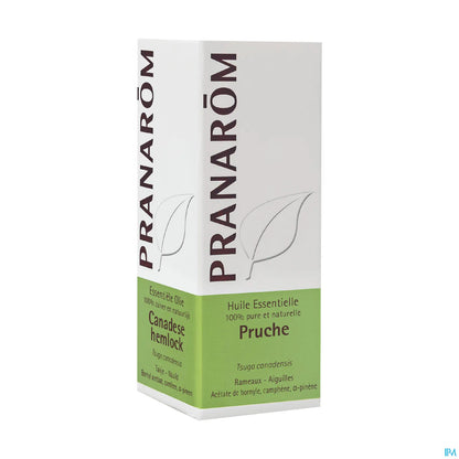 Hemlock Essential Oil 5ml
