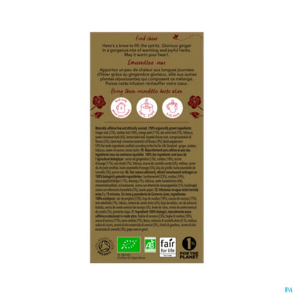 Organic Enchanted Winter Infusion 20 Bags