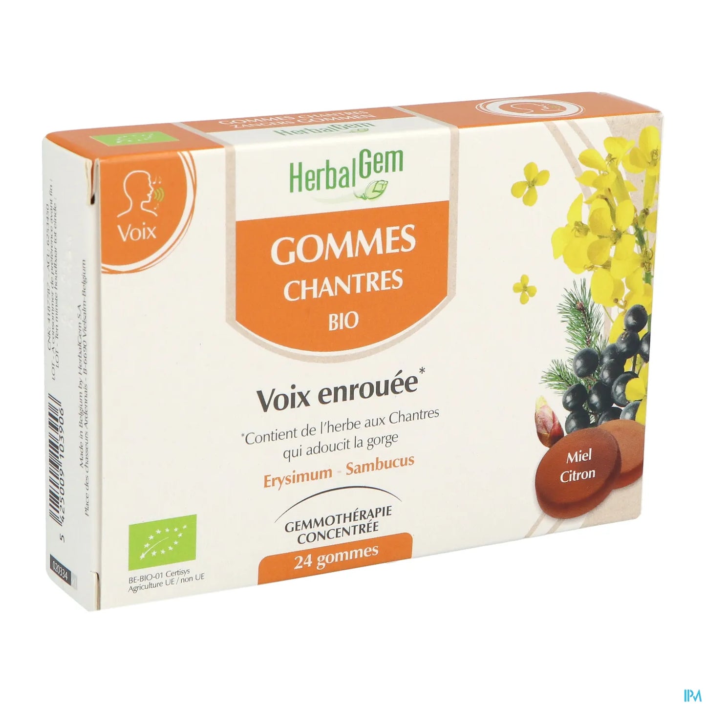 Gomme per cantanti vocali, confezione da 24 gomme