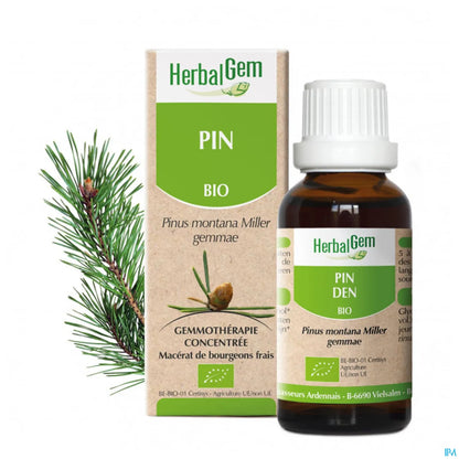 Mountain Pine Bud 30 mL