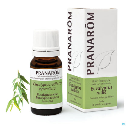 Olio essenziale di eucalipto irradiato 10 ml