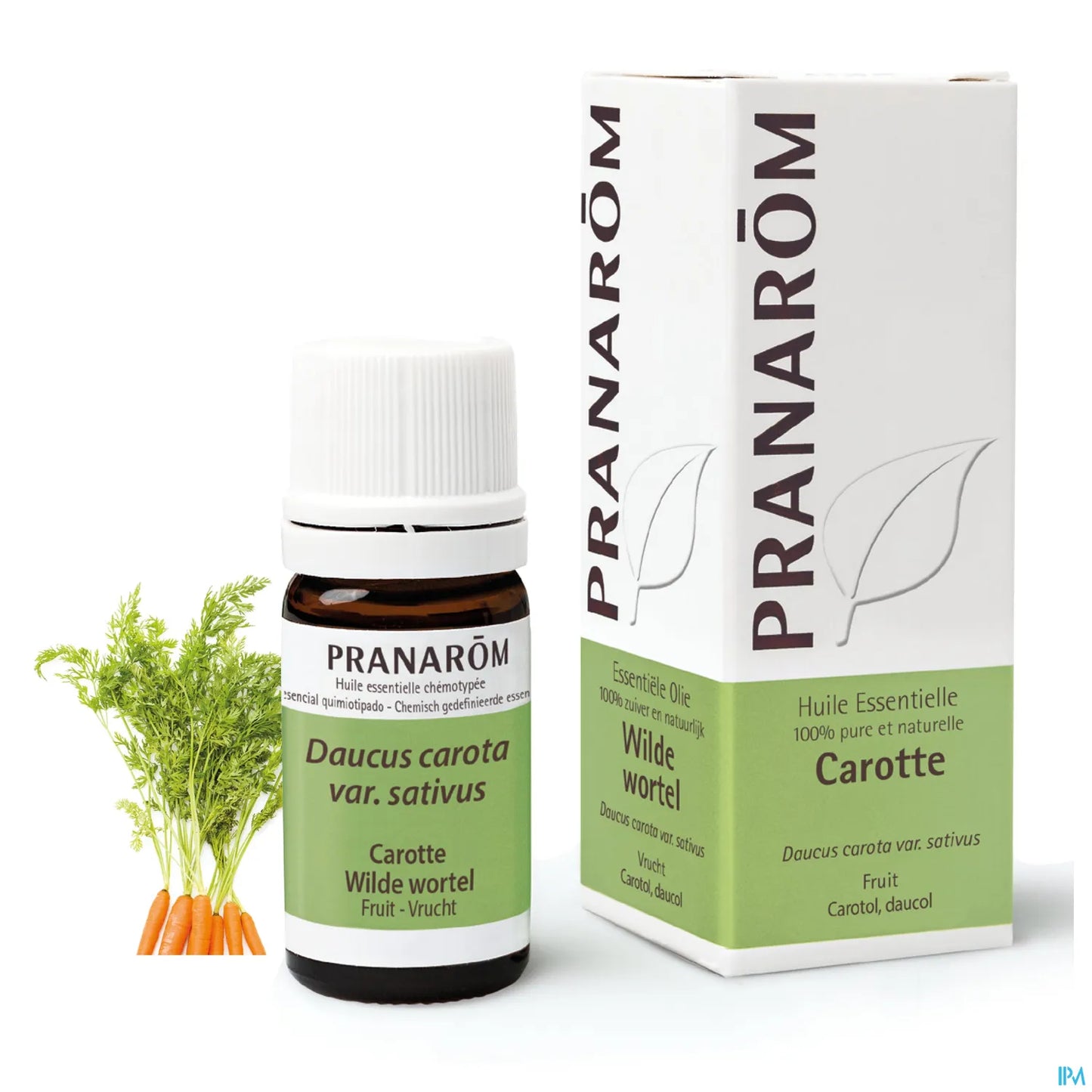 Organic Carrot Essential Oil 5 ml