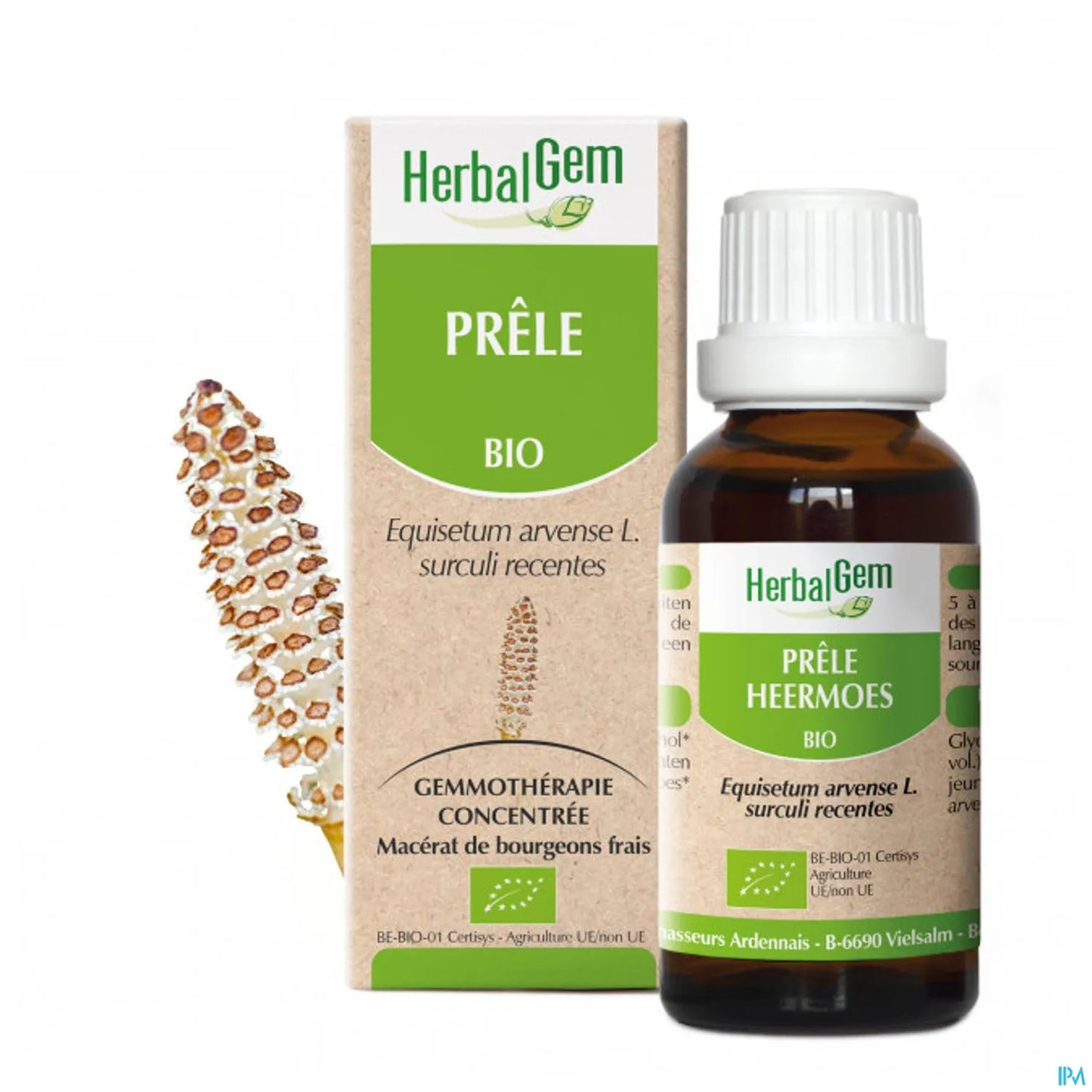 Macerato Madre di Equiseto Biologico 30 mL