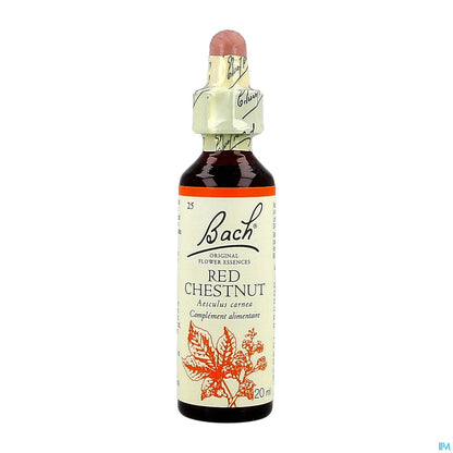 Castagna rossa 20 ml