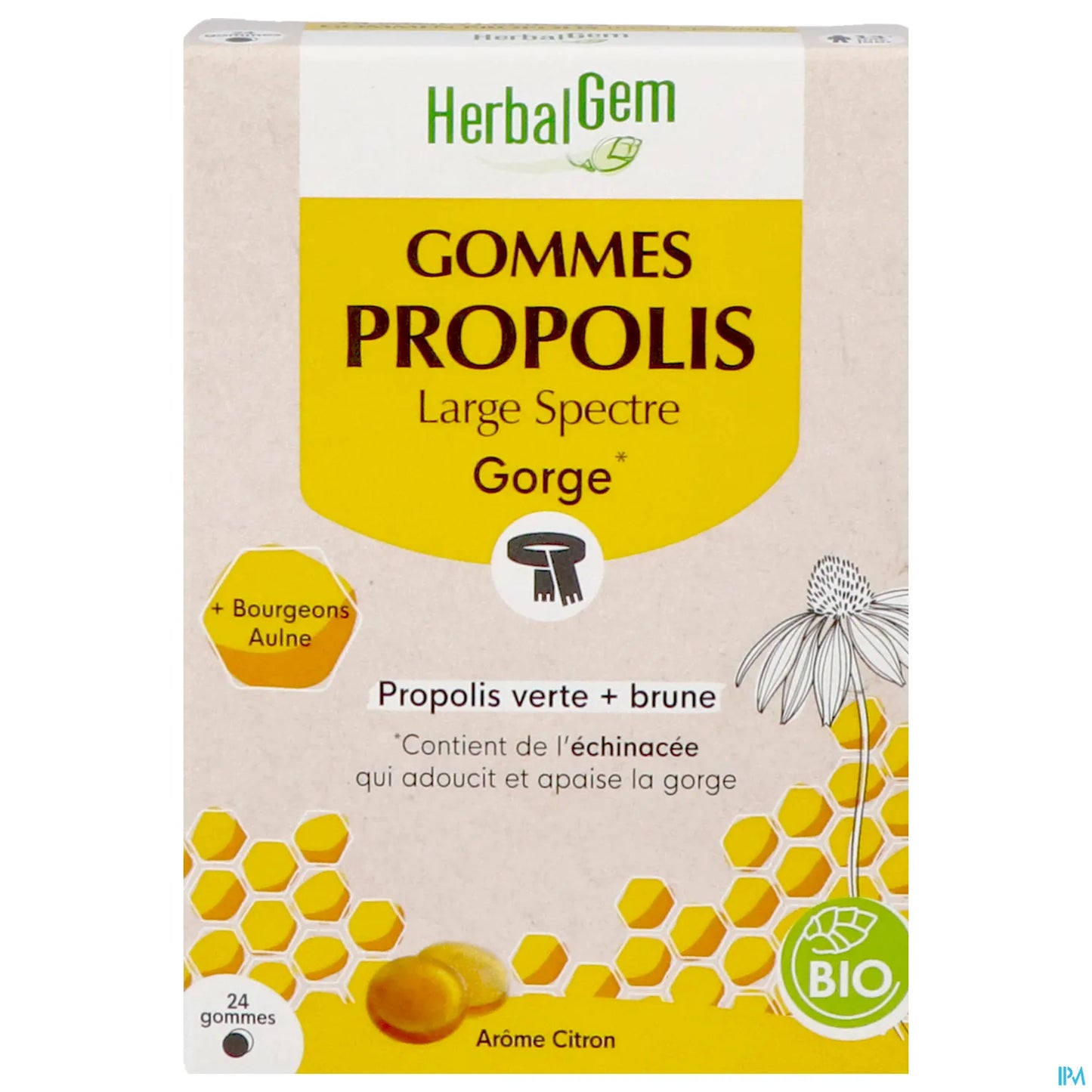 Propolis Large Spectre Gommes Bio 24 Gommes